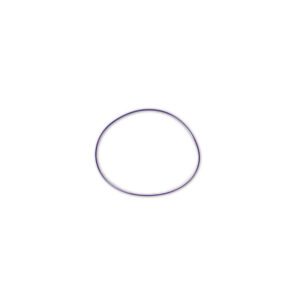 Y-Pipe O-Ring